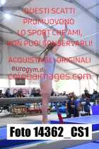14362_CS1-
