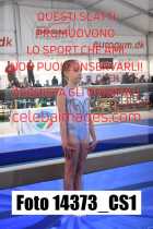 14373_CS1-