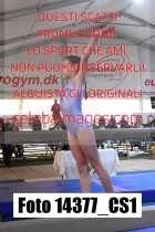 14377_CS1-