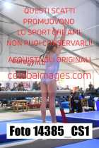 14385_CS1-