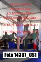 14387_CS1-