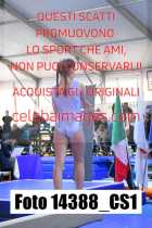14388_CS1-