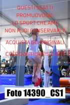 14390_CS1-