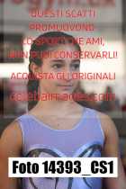 14393_CS1-