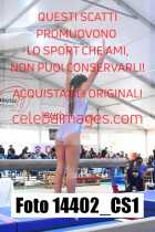 14402_CS1-