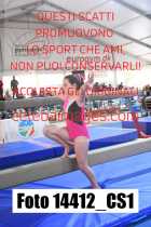 14412_CS1-