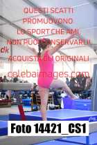 14421_CS1-