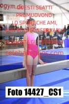 14427_CS1-