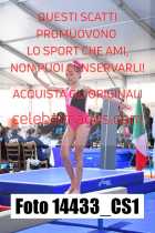 14433_CS1-