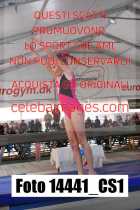 14441_CS1-
