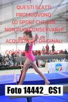 14442_CS1-