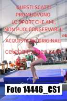 14446_CS1-