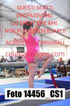 14456_CS1-