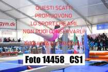 14458_CS1-