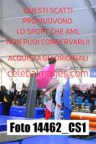 14462_CS1-