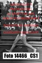 14466_CS1-