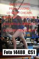 14488_CS1-