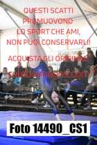 14490_CS1-