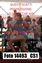 14493_CS1-