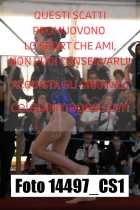 14497_CS1-