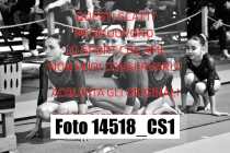 14518_CS1-