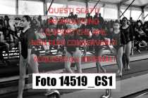 14519_CS1-