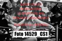 14529_CS1-