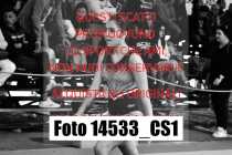14533_CS1-