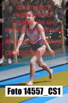 14557_CS1-