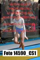 14590_CS1-