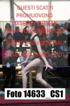 14633_CS1-