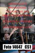 14647_CS1-