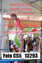 CS5_13293-