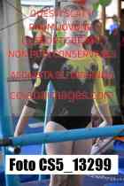 CS5_13299-