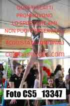 CS5_13347-