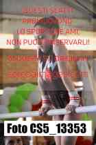 CS5_13353-