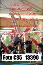 CS5_13390-