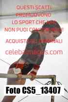 CS5_13407-