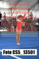 CS5_13501-