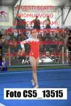 CS5_13515-
