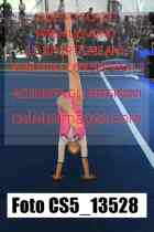 CS5_13528-