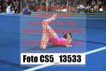 CS5_13533-