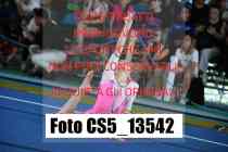 CS5_13542-