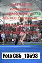 CS5_13593-