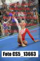 CS5_13663-