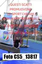 CS5_13817-