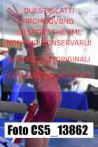 CS5_13862-