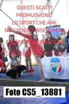 CS5_13881-