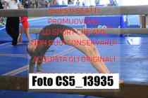 CS5_13935-