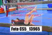 CS5_13965-